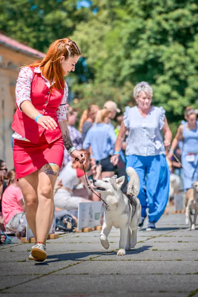 Krajská výstava psů Florinka — Florinka - Neděle – 7. června 2026