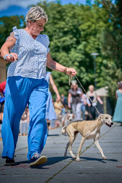 Krajská výstava psů Florinka — Florinka - Neděle – 7. června 2026
