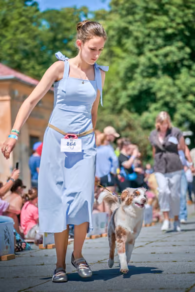 Krajská výstava psů Florinka — Florinka - Neděle – 7. června 2026
