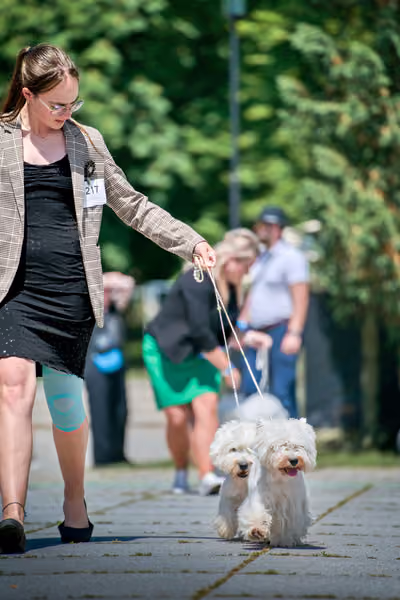 Krajská výstava psů Florinka — Florinka - Neděle – 7. června 2026