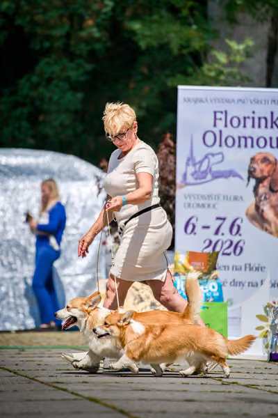 Krajská výstava psů Florinka — Florinka - Neděle – 7. června 2026