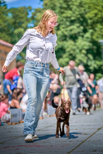 Krajská výstava psů Florinka — Florinka - Neděle – 7. června 2026