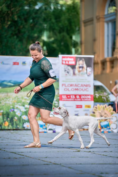 Krajská výstava psů Florinka — Florinka - Neděle – 7. června 2026