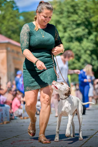 Krajská výstava psů Florinka — Florinka - Neděle – 7. června 2026