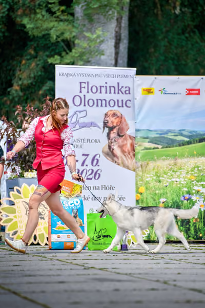 Krajská výstava psů Florinka — Florinka - Neděle – 7. června 2026