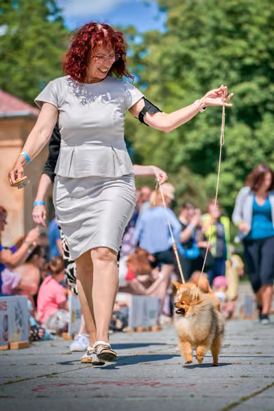 Krajská výstava psů Florinka — Florinka - Neděle – 7. června 2026