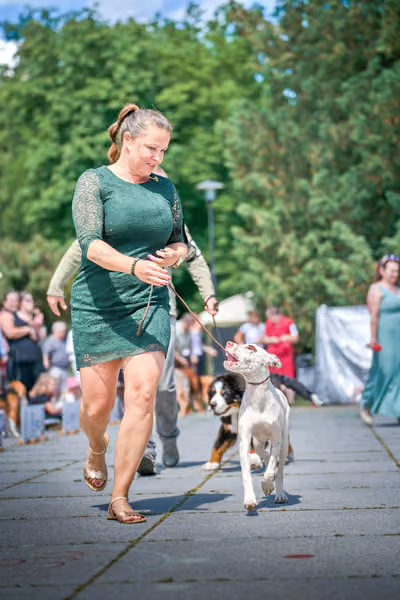 Krajská výstava psů Florinka — Florinka - Neděle – 7. června 2026