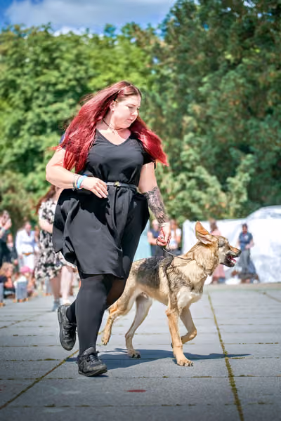Krajská výstava psů Florinka — Florinka - Neděle – 7. června 2026