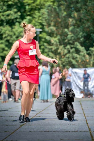 Krajská výstava psů Florinka — Florinka - Neděle – 7. června 2026