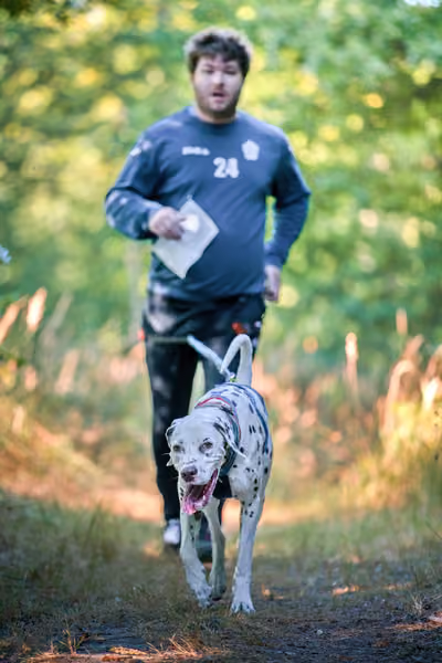 Hruboskalský canicross – 15. srpna 2026
