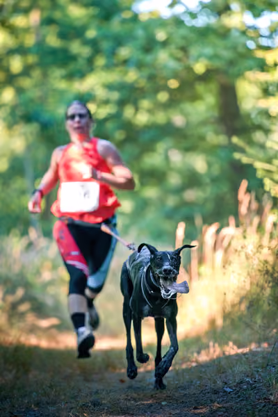Hruboskalský canicross – 15. srpna 2026