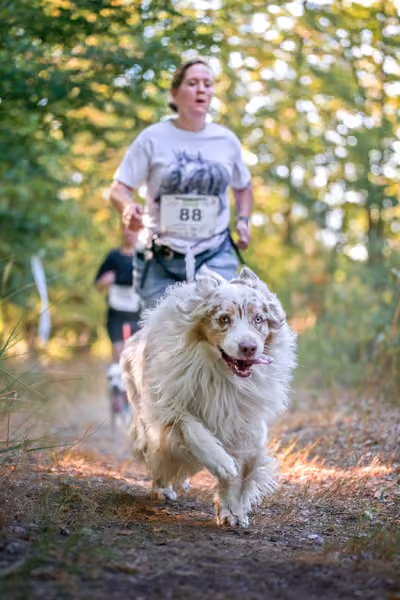 Hruboskalský canicross – 15. srpna 2026
