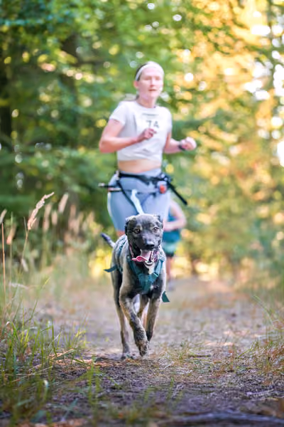 Hruboskalský canicross – 15. srpna 2026