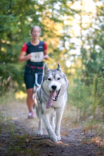 Hruboskalský canicross – 15. srpna 2026