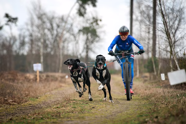 Votvírák – 21. března 2026