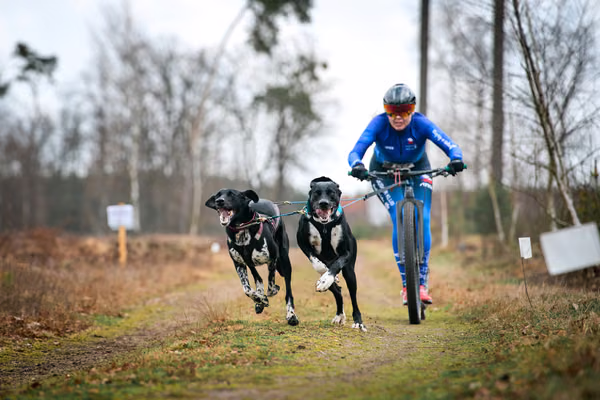 Votvírák – 21. března 2026