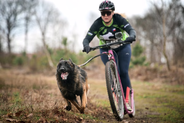 Votvírák – 21. března 2026