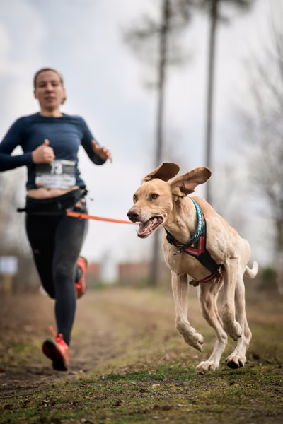 Votvírák – 21. března 2026
