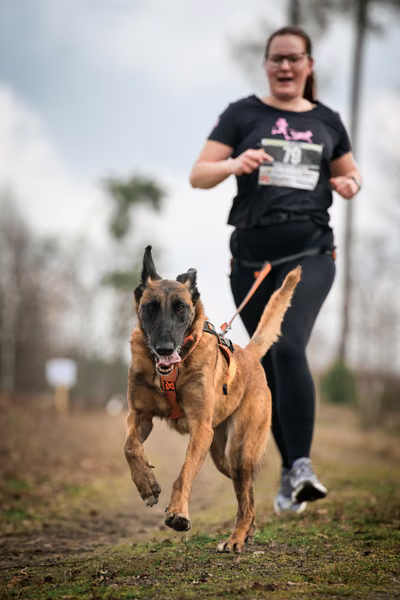 Votvírák – 21. března 2026