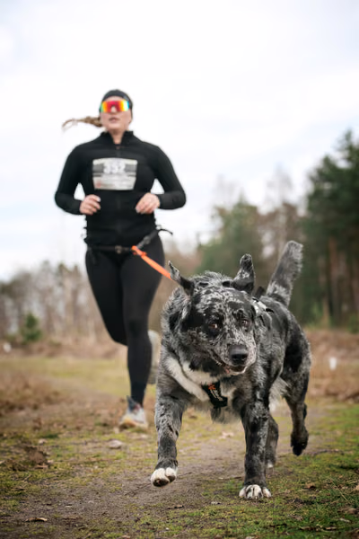 Votvírák – 21. března 2026