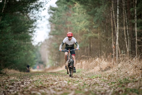 Votvírák – 21. března 2026