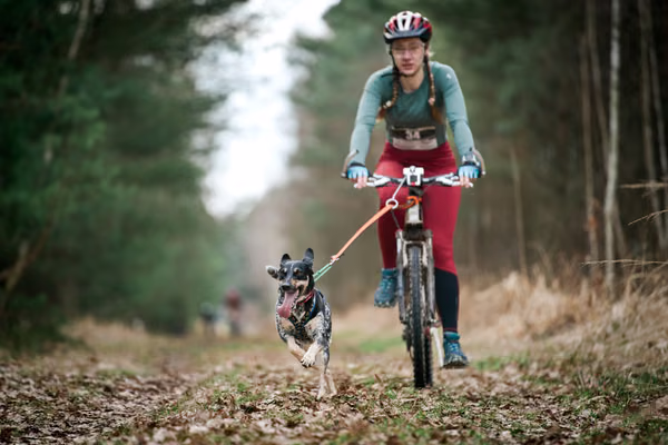 Votvírák – 21. března 2026