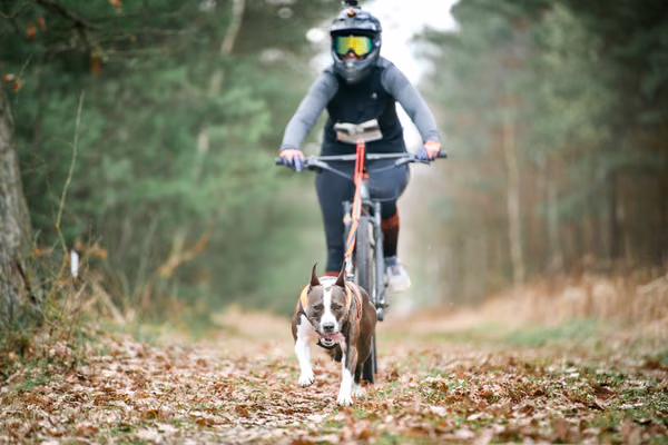 Votvírák – 21. března 2026
