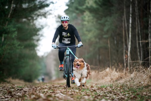 Votvírák – 21. března 2026