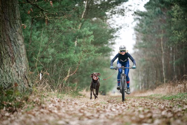 Votvírák – 21. března 2026