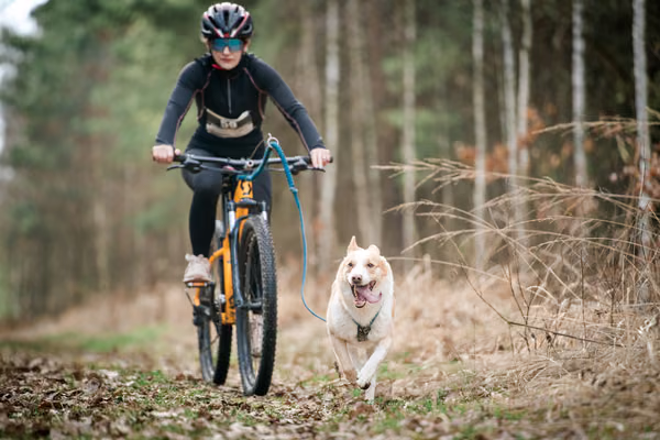 Votvírák – 21. března 2026