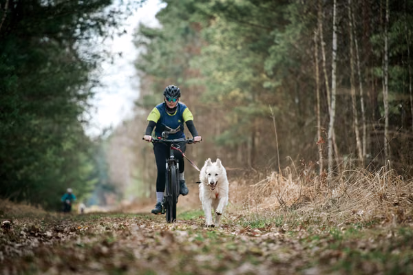 Votvírák – 21. března 2026