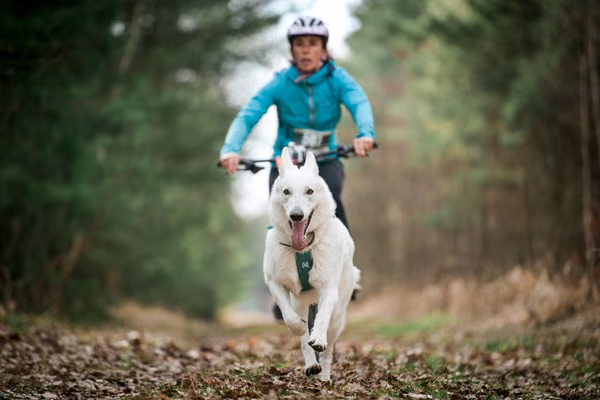 Votvírák – 21. března 2026