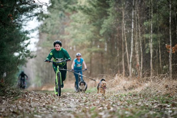 Votvírák – 21. března 2026