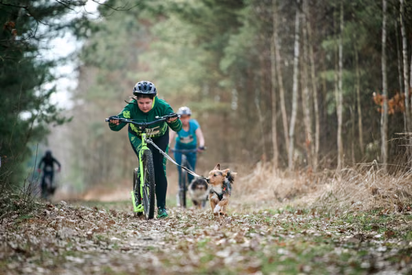 Votvírák – 21. března 2026