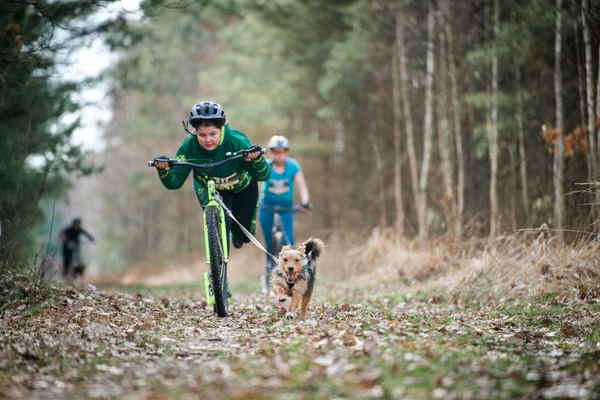 Votvírák – 21. března 2026