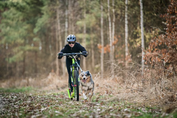 Votvírák – 21. března 2026