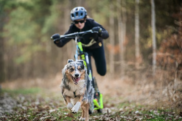 Votvírák – 21. března 2026
