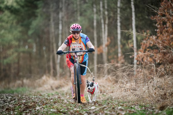 Votvírák – 21. března 2026