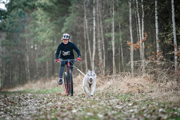Votvírák – 21. března 2026