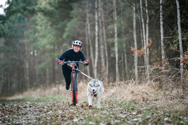 Votvírák – 21. března 2026
