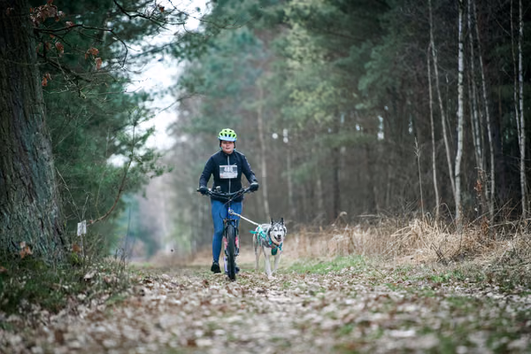 Votvírák – 21. března 2026