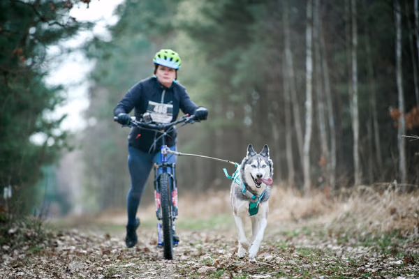Votvírák – 21. března 2026