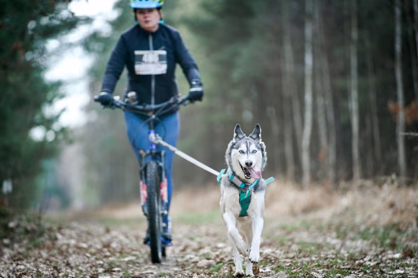 Votvírák – 21. března 2026