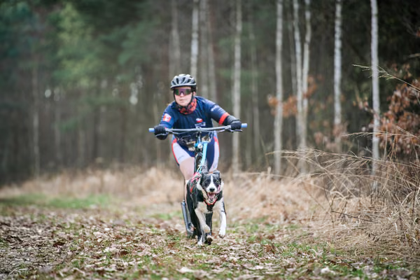 Votvírák – 21. března 2026