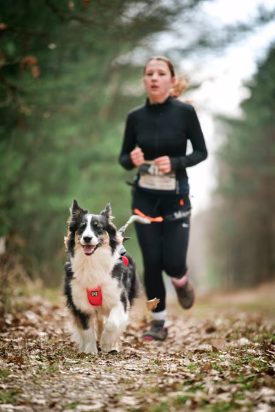 Votvírák – 21. března 2026