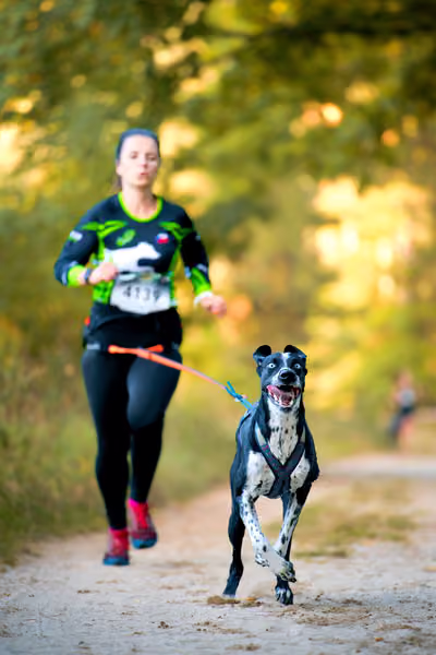 Leskros Mácháč 2026 — Leskros Mácháč - Sobota – 19. září 2026