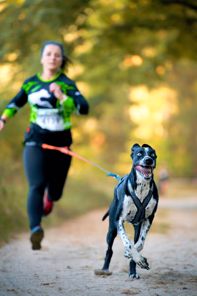 Leskros Mácháč 2026 — Leskros Mácháč - Sobota – 19. září 2026