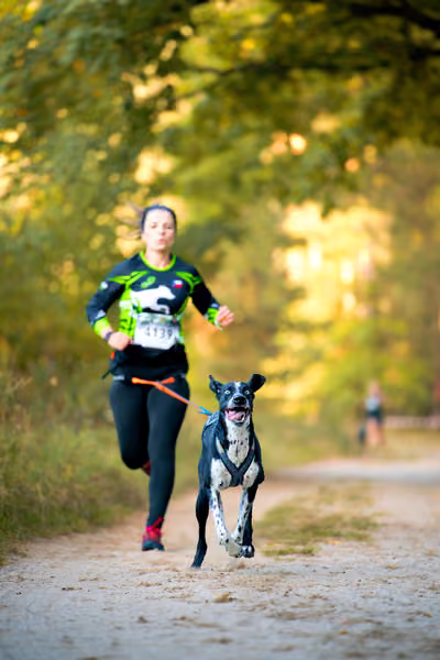 Leskros Mácháč 2026 — Leskros Mácháč - Sobota – 19. září 2026
