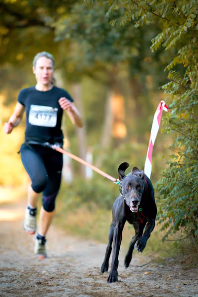 Leskros Mácháč 2026 — Leskros Mácháč - Sobota – 19. září 2026