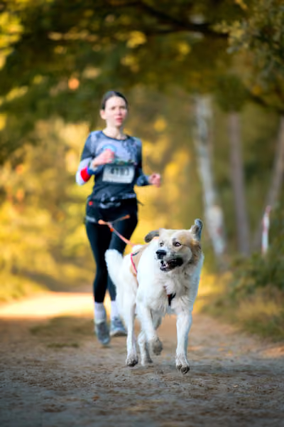 Leskros Mácháč 2026 — Leskros Mácháč - Sobota – 19. září 2026